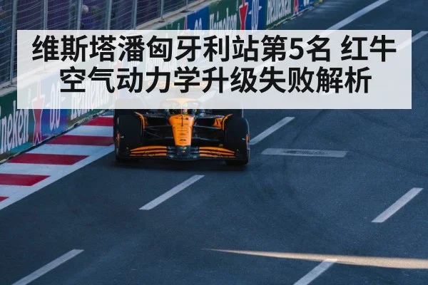 McLaren F1 Hungary win
