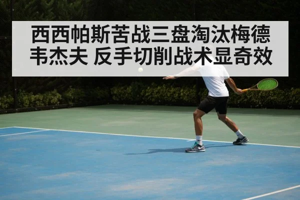 西西帕斯苦战三盘淘汰梅德韦杰夫 反手切削战术显奇效
